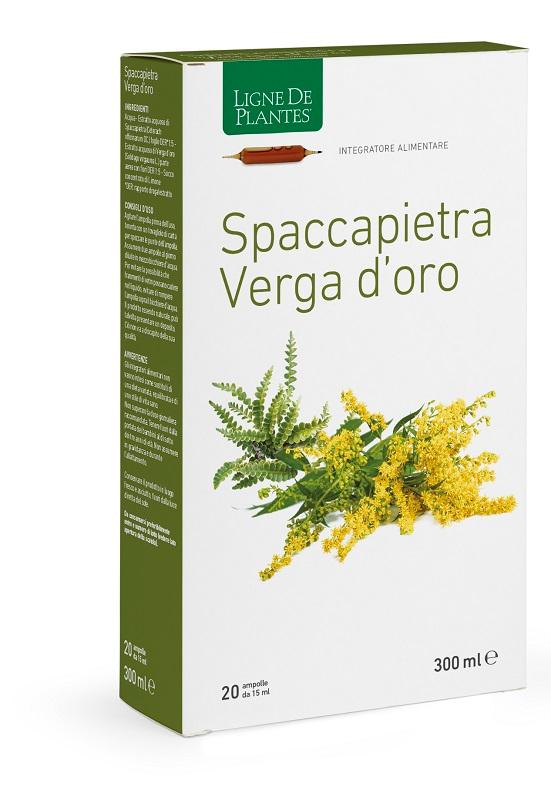 NATURA SERVICE Srl Ligne Spaccapietra Verga 20AMP