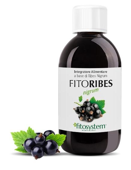 FITOSYSTEM DI C.G. Fitoribes 200 ml