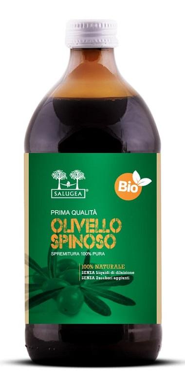 SALUGEA (RELOAD Srl) Olivello Bio Succo Salugea