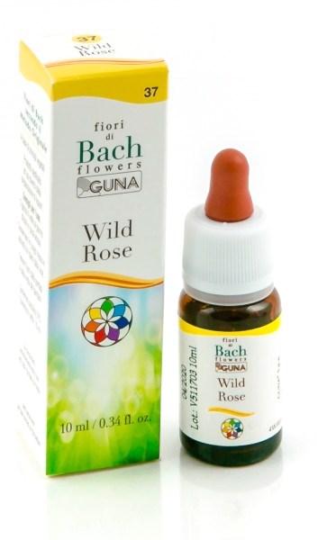 ND Wild Rose Gun gocce 10 ml