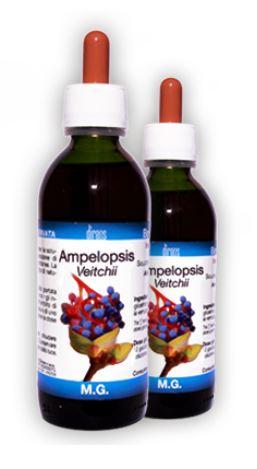 ND Ampelopsis Veitchii 50 ml mg