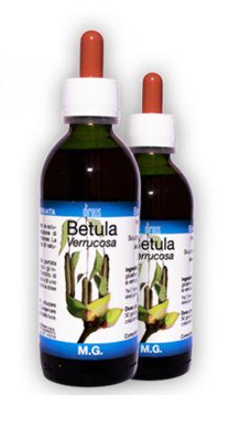 ND Betula Verrucosa 50 ml mg