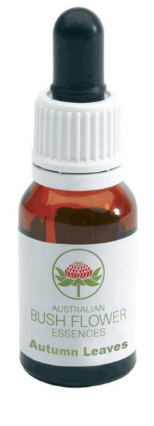 ND Autumn Leaves Gocce 15 ml