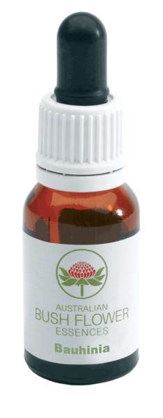 ND Bauhinia Gocce 15 ml