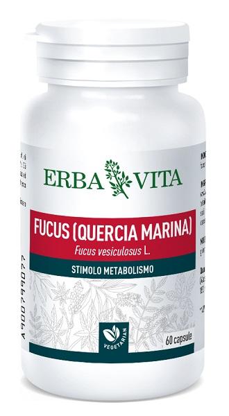 ND Fucus 60 capsule 500 mg