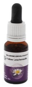 ND Yellow Leschenaultia 15 ml Aust