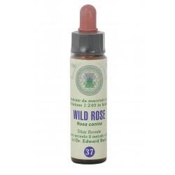 ND Fiori Di Bach 37 Wild Rose gocce
