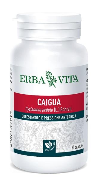 ND Caigua 60 capsule 400 mg