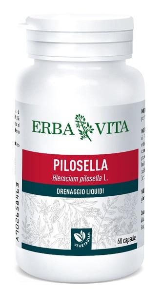 ND Pilosella 60 capsule 400 mg