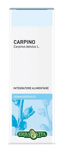 ND Gemmoderivato Carpino 50 ml