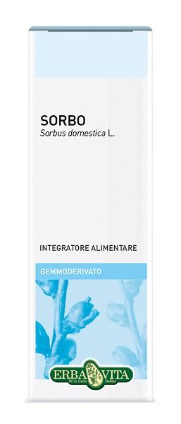 ND Gemmoderivato Sorbo 50 ml