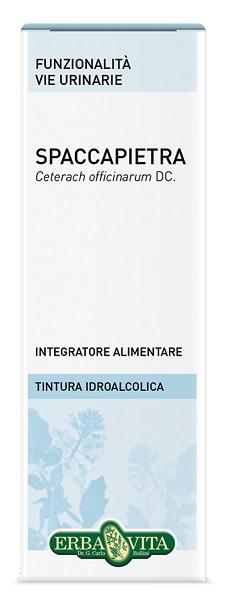 ND Spaccapietra Tint Ial 50 ml Ebv