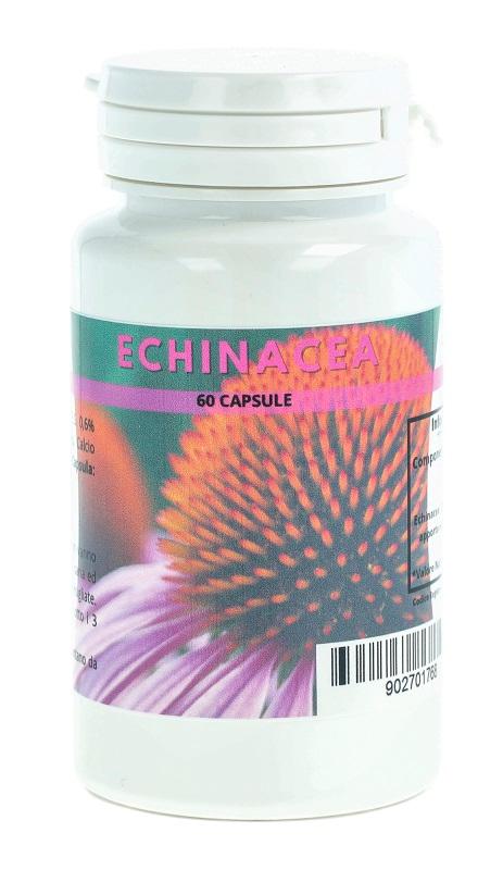 1381 Echinacea 60 capsule
