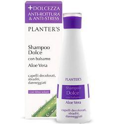 Planter Planter's Shampoo Dolce Aloe V