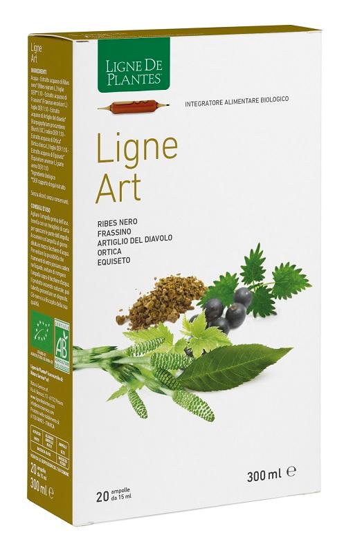 ND Ligne Art Bio 20 Ampolle 15 ml