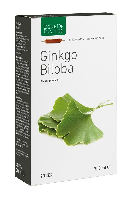 ND Ginkgo Biloba Bio 20AMPOLLE