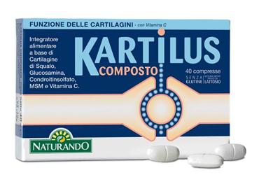 ND Kartilus Composto 40 compresse