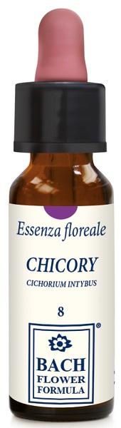 ND Chicory Original 10 ml gocce