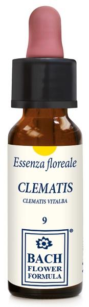 ND Clematis Original 10 ml gocce