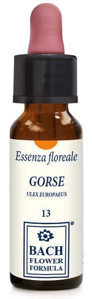 ND Gorse Original 10 ml gocce