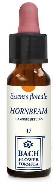 ND Hornbeam Original 10 ml gocce
