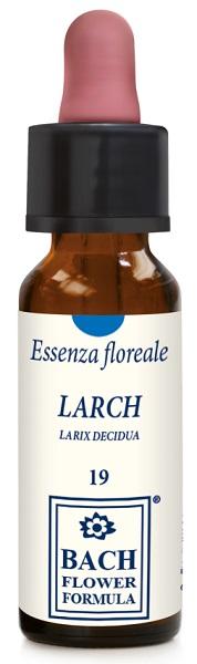 ND Larch Original 10 ml gocce