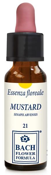 ND Mustard Original 10 ml gocce