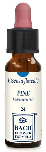 ND Pine Original 10 ml gocce