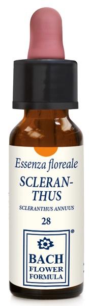 ND Scleranthus Original 10 ml gocce