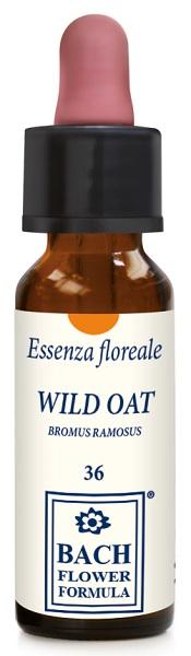 ND Wild Oat Original 10 ml gocce