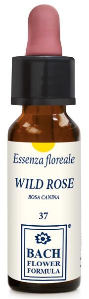 ND Wild Rose Original 10 ml gocce