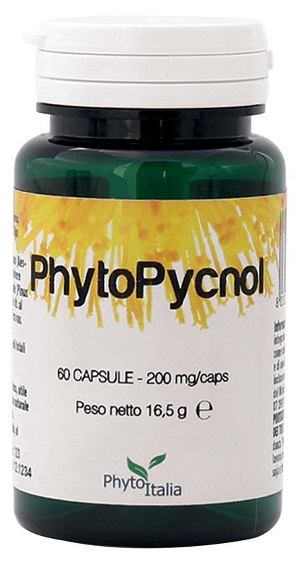 ND Phytopycnol 60 capsule