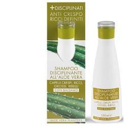 Planter Planter's Aloe Sh Disciplinant