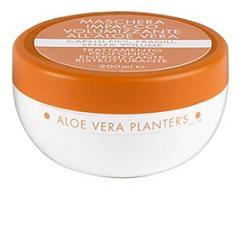 Planter Planter's Aloe Masch Volumiz