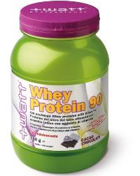 2215 WHEY PROTEIN 90 CACA0 750G