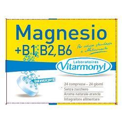 ND MAGNESIO+B1+B2+B6+B9+B12 24 compresse