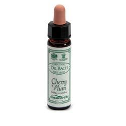 ND Ainsworths Cherry Plum 10 ml