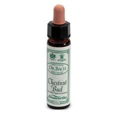 ND Ainsworths Chestnut Bud 10 ml