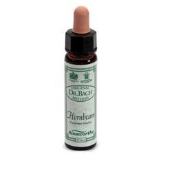 ND Ainsworths Hornbeam 10 ml