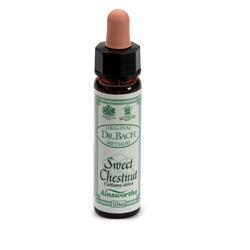 ND Ainsworths Sweet Chestnut 10 ml