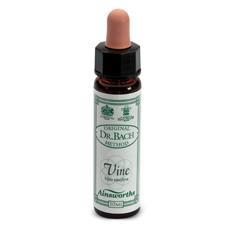 ND Ainsworths Vine 10 ml