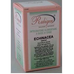 612F ECHINACEA 60CPS