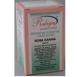 612F ROSA CANINA 60CPS