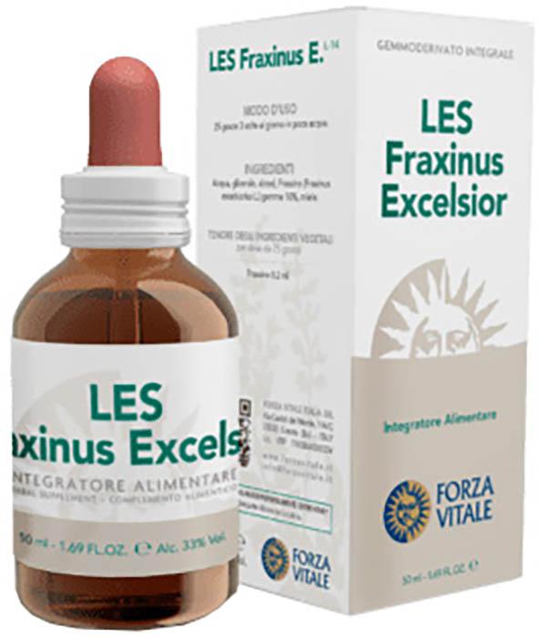 ND Les Fraxinus Excelsior GTT50ML