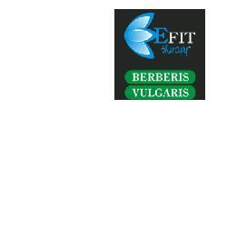 ND Berberis Vul Ef Tit 98% 500 g