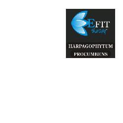 ND Harpagophytum Pro Ef 30 ml