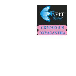 ND Crataegus Oxyacantha Ef 30 ml