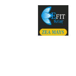 ND Zea Mays Estratto Fluido 30 ml