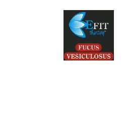 ND Fucus Vesiculosus Ef 30 ml