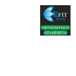 ND Orthosiphon Stamineus Ef 30 ml